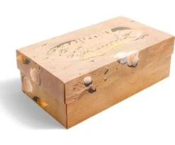 Saucony X Colour Plus Grid Shadow 2 -Deals TrendyFit Family Store 3636x3636 S70822 1 9